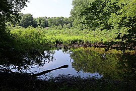 Louis C. Clark Sanctuary