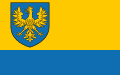 opolskie, formal flag for authorities