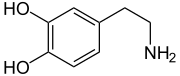 Structuurformule van dopamine