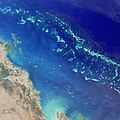 Karang Penghalang Bessar (Great Barrier Reef)
