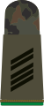 Oberstabsgefreiter FA (Army corporal sergeant aspirant, Mountain Infantry, field uniform mounting strap)