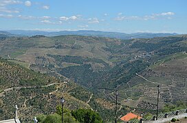 In the Douro wine lands X (51214474570).jpg