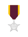 Military Service Star