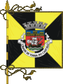 Vlag van Viana do Castelo