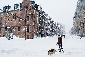 Vista no inverno