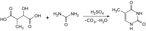 Thyminsynthese aus 3-Methyläpfelsäure und Harnstoff