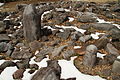 Structure cérémonielle dont une pierre phallique. Jomon Final. Site de Kinsei, préfecture de Yamanashi, Chūbu. Centre.