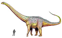 Az Amphicoelias altus rekonstrukciója