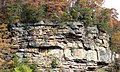 Cliffs near Gauley Bridge.