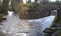 Two stream channels join below land covered with trees and shrubs and protected by a stone wall. The wall, about six feet (two meters) high, extends across the right-hand stream channel, which plunges over the wall. Downstream, the combined channels are about 30 feet (9 meters) wide and turbulent.