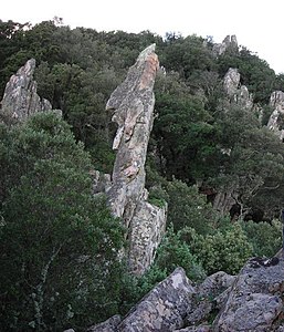 Su Monti Lattias - Sa Baionetta