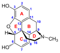 La structure 2D de la morphine, numérotée et lettrée.