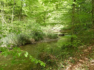 Der Seebach