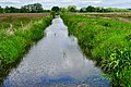 Nieuwe Diep polder Lappenvoort