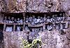 Toraja burial site.