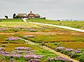 Hallig Südfall