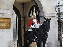 A mounted trooper of the Household Cavalry
