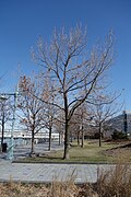 Hudson River Park td (2019-03-27) 062.jpg
