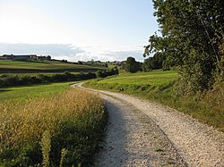 pogled na Kupetince