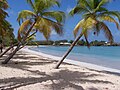 Anse des Salines : la plage la plus fréquentée de Martinique.