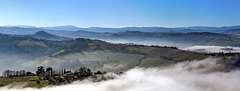 Brouillard d'advection dans les vallées des Apennins, dans le parc national des forêts du Casentino, Monte Falterona, Campigna. (définition réelle 13 632 × 5 159)