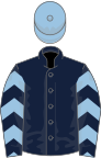 Dark blue, light blue chevrons on sleeves, light blue cap