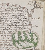 Ilustrita paĝo de la manuskripto de Voynich