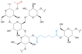 Image illustrative de l’article Adipate de diamidon acétylé