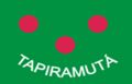 Bandeira de Tapiramutá