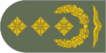 Naramiennik stopnia Generalleutnant (Luftwaffe).