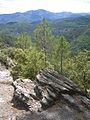 Micaschistes noirs (col Saint-Pierre, corniche des Cévennes)