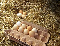 Freerange eggs.jpg