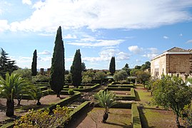 Jardín Alto.