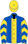 Royal blue, yellow stripe, chevrons on sleeves, yellow cap