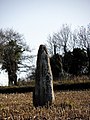 Menhir dit La Roche Longue.