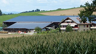 Farm Roof