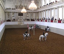 La equitación clásica y la Escuela Española de Equitación de Viena