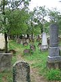 Le cimetière juif (Židovský hřbitov)