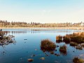 Lunsveen (boswachterij Gieten-Borger)