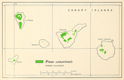 Distribución natural de Pinus canariensis.