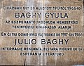 Julio Baghy