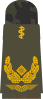 Generalarzt (human medicine)