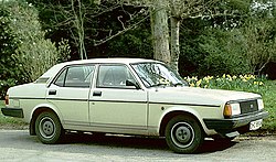 Morris Ital (1980–1984)