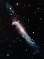 NGC 4656 (Mayall 4-meter telescope at Kitt Peak National Observatory)