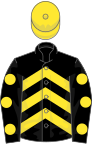 Black, yellow chevrons, spots on sleeves, yellow cap