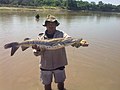 Español: Pesca deportiva en San Ramón de la nueva Orán