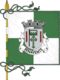 Flagge des Concelhos Benavente