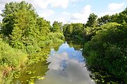 Ucker kurz unter dem Oberuckersee