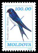 Šelmeninė kregždė Moldavijos pašto ženkle