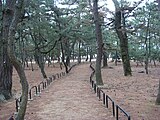 琴林公園（津田の松原）